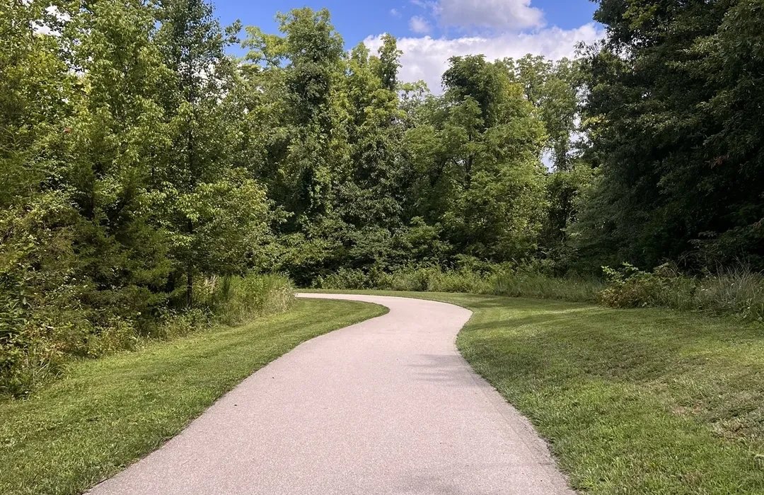 🏞️ 우오미 산 자연공원 (우오미다케 시젠코엔) 이미지 4